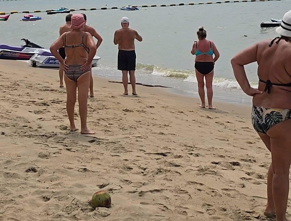 Urlaubsschreck in Pattaya: Riesen-Python sorgt für Chaos