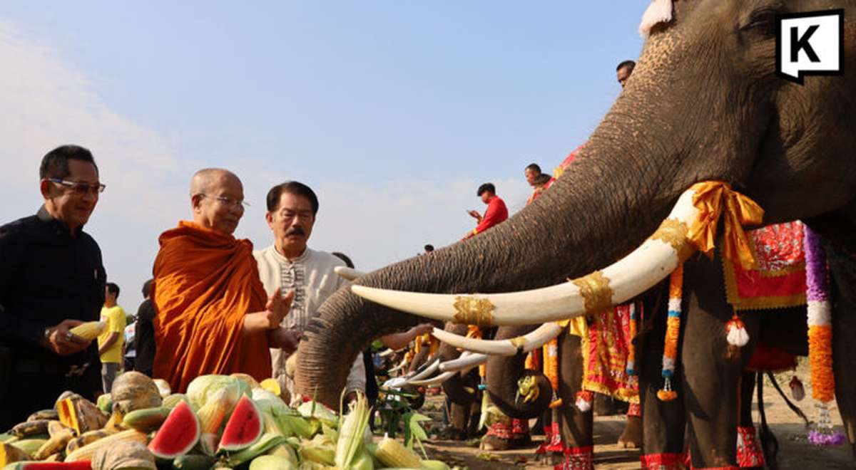 Ayutthaya feiert Elefantentag – 70 Tiere beim Obstbankett