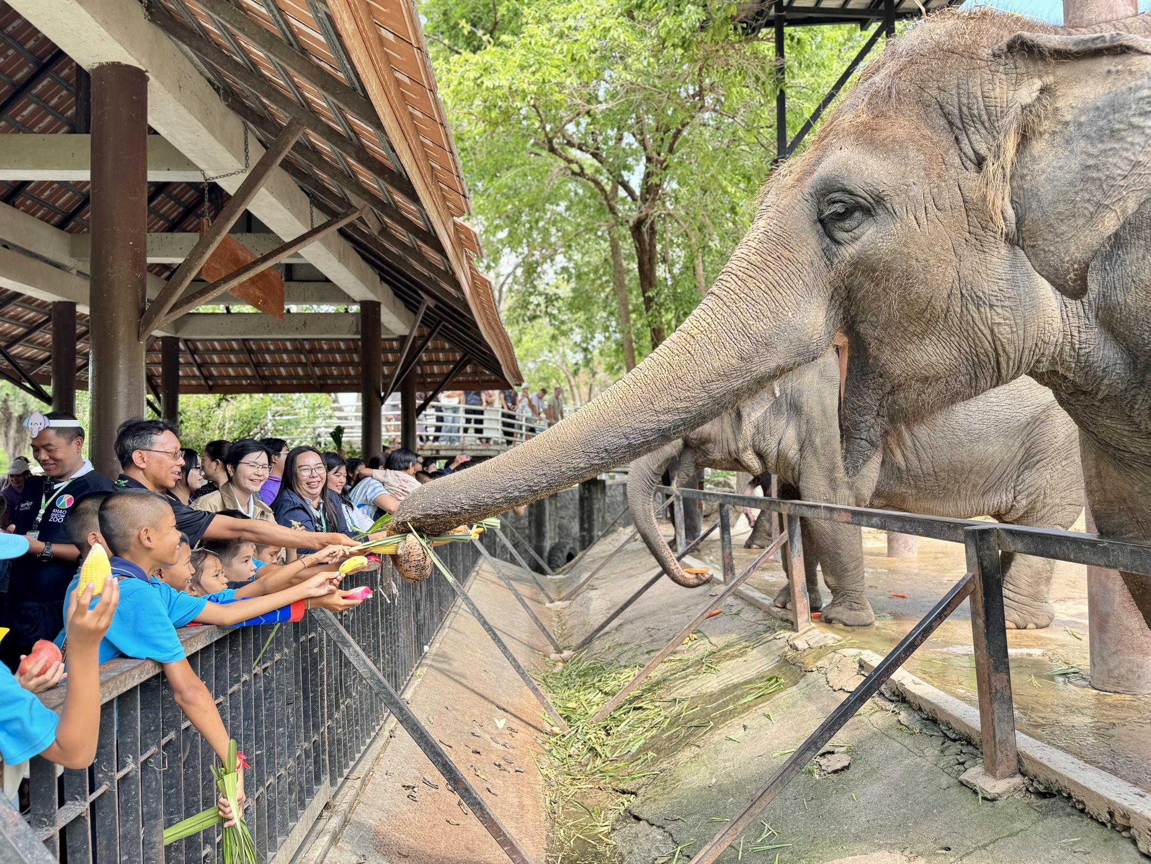 Elefantentag in Chonburi – Zoo feiert mit Riesen-Fruchtbuffet