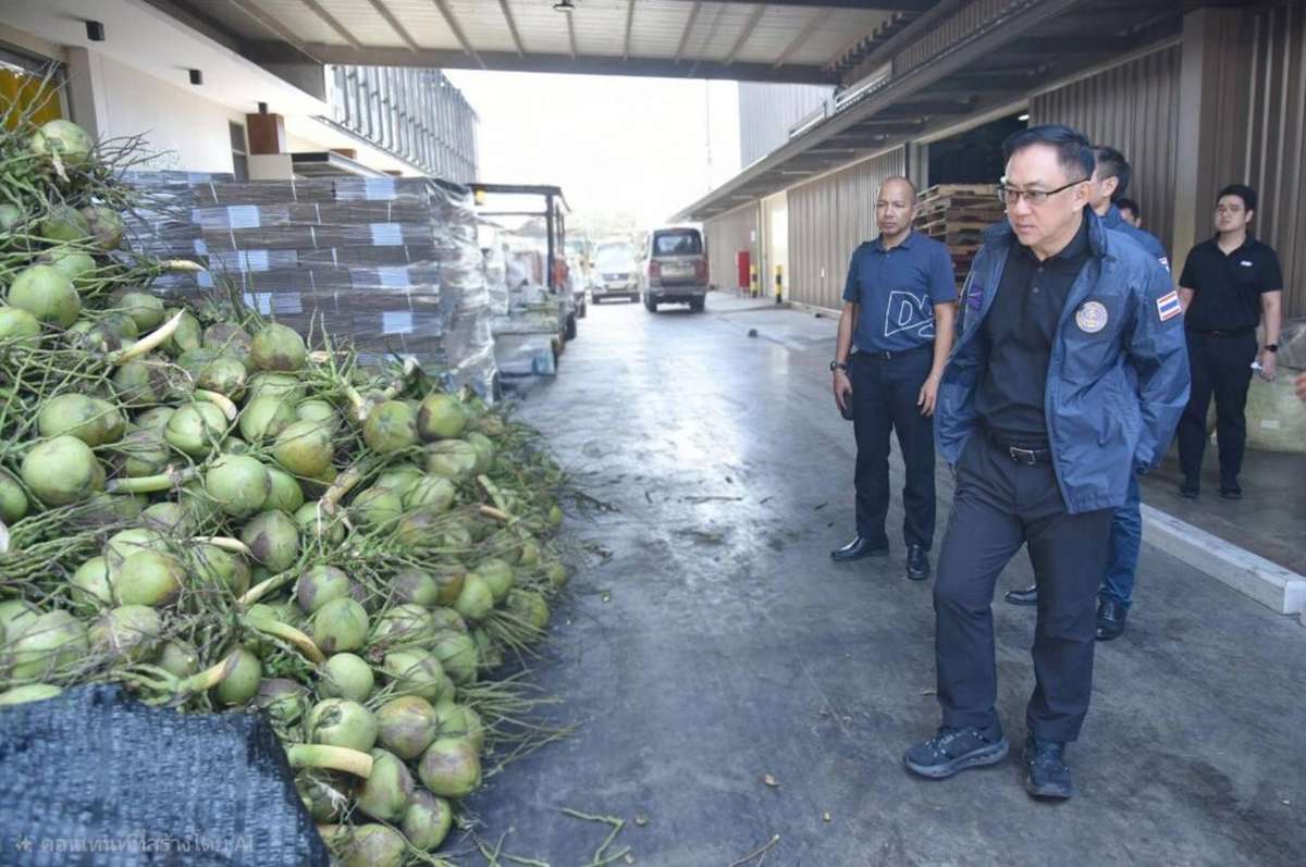 Kokos-Krise – Thailand prüft 15 China-nahe Firmen