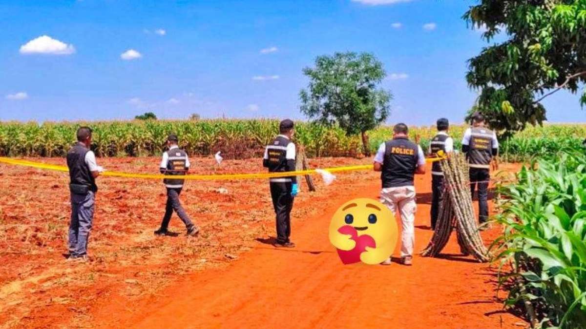 Teenagerin stellt sich nach tödlichem Angriff