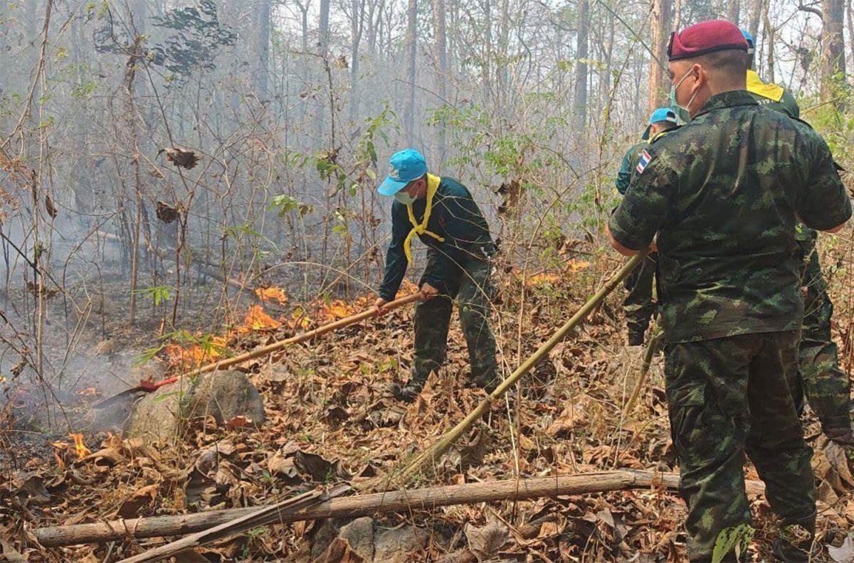Thailand in Flammen: Rekordzahl an Bränden