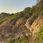 Leiche auf Koh Larn entdeckt Leiche auf Koh Larn entdeckt