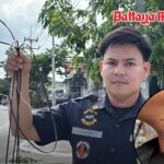 Pattaya: Kabel reißt Rettungshelfer fast den Kopf ab