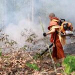 Smog in Thailand: 59 Provinzen mit erhöhten Feinstaubwerten Smog in Thailand: 59 Provinzen mit erhöhten Feinstaubwerten