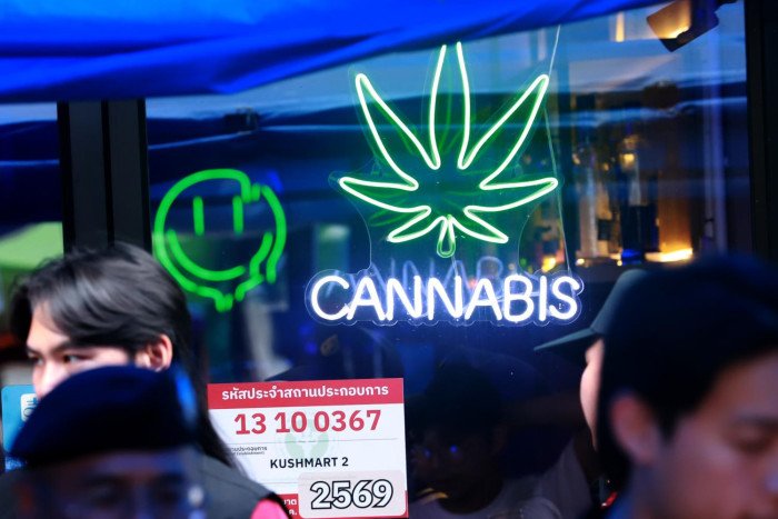 Cannabis-Chaos in Thailand: Neue Gesetze auf Bangkoks Straßen ignoriert