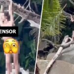 Eklat in Phuket: Touristin posiert komplett nackt am Strand von Kalim Eklat in Phuket: Touristin posiert komplett nackt am Strand von Kalim