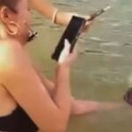 Empörung auf Phuket Touristen quälen Meeresschildkröte im Video