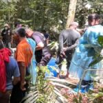 Grausamer Mord in Krabi: Plantagenbesitzer gefesselt im Wald entdeckt Grausamer Mord in Krabi: Plantagenbesitzer gefesselt im Wald entdeckt