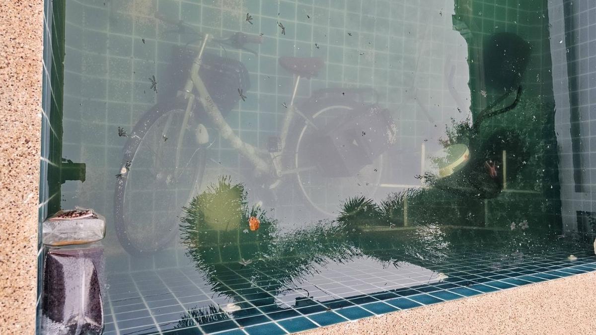 Horror-Mietnomade aus der Schweiz verwüstet Haus in Hua Hin