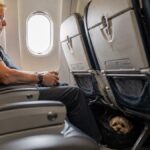 Hund & Katze nach Thailand: Was die Einreise kostet