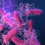 Salmonella-Schock in Thailand: Verseuchtes Trinkwasser entdeckt