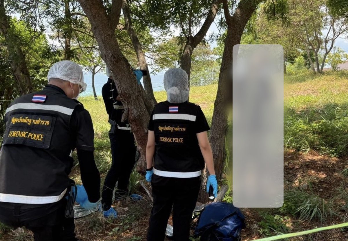 Schock auf Koh Larn: Ausländer hängt tot unter Baum