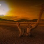 Super El Niño droht Thailand: Rekordhitze und Dürre alarmieren Behörden Super El Niño droht Thailand: Rekordhitze und Dürre alarmieren Behörden