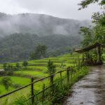Thailand Regenzeit: 7 Ziele abseits von Strand und Tempel Thailand Regenzeit: 7 Ziele abseits von Strand und Tempel