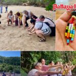 Thailand setzt auf Öko-Tourismus: Neue grüne Routen locken Deutsche