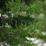 Thailand-Wetter Mai: Unwetter-Alarm und Regenzeit-Start