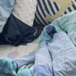 Tragödie in Nonthaburi: Familie mit Kind tot in Schlafzimmer gefunden Tragödie in Nonthaburi: Familie mit Kind tot in Schlafzimmer gefunden