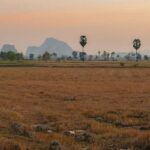 Wassermangel in Thailand: Kritische Pegel und massive Flutgefahr