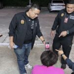 16 Kilo Heroin in Tierfutter: Südafrikanerin am Flughafen Phuket gefasst