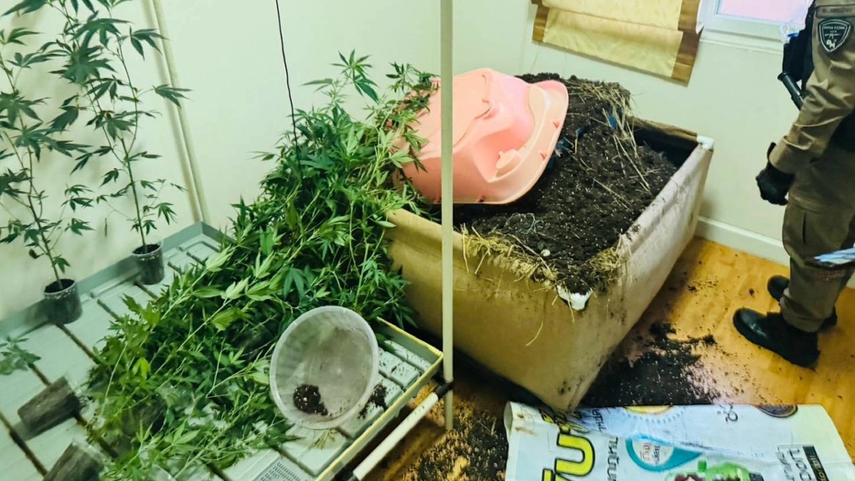 Cannabis-Händler tot in Kiste aufgefunden: Polizei sucht Tatverdächtigen