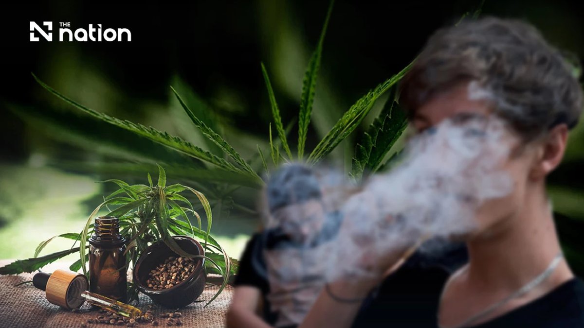 Cannabis-Wende in Thailand: Droht die Rückkehr auf die Drogenliste?