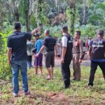 Elefanten-Attacke Thailand: Mahout stirbt, Tourist verletzt