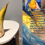 Flughafen Bangkok: Wegen Bambussprosse fast festgenommen