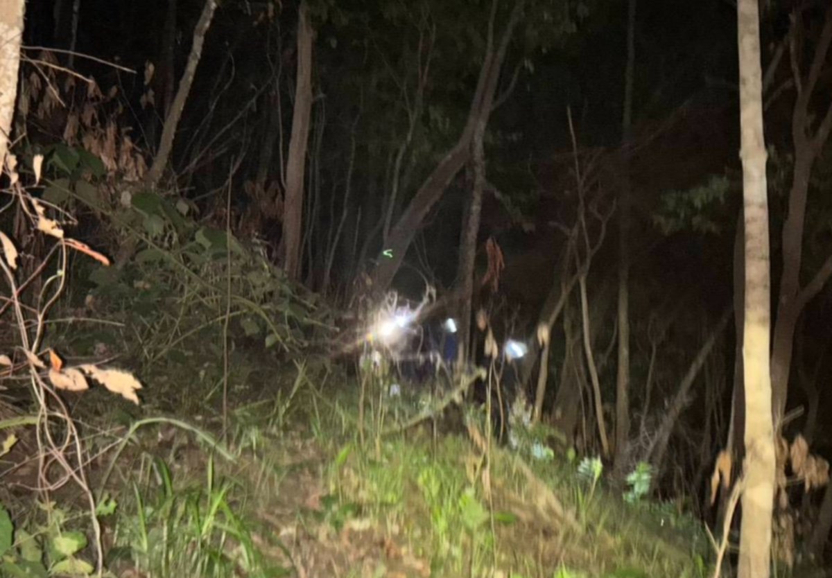 Jäger verwechselt Nachbarn mit Wildschwein (Video)