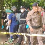 Thailand: 12-jährige tot im Wald von Mutter aufgefunden
