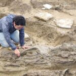 Thailand: 1500-2000 Jahre alter Goldschatz ausgegraben Thailand: 1500-2000 Jahre alter Goldschatz ausgegraben