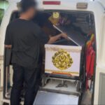 Tödlicher Hundertfüßerbiss: Frau stirbt nach abgewiesener Behandlung (Video) Tödlicher Insektenstich: Frau stirbt nach abgewiesener Behandlung (Video)