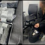 Belgierin mit 31 kg Drogen am Flughafen festgenommen Belgierin mit 31 kg Drogen am Flughafen festgenommen