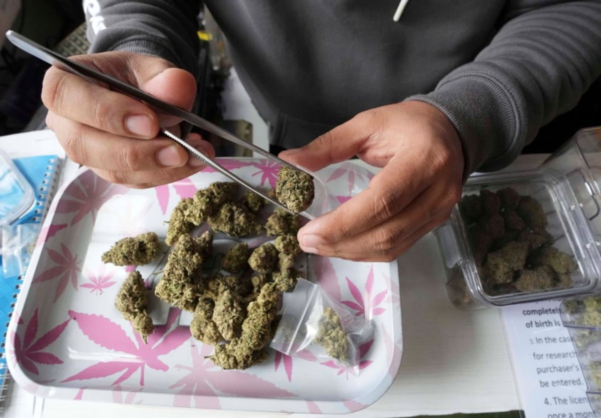 Thailands Cannabis-Industrie am Abgrund: Regierung droht mit Schließung