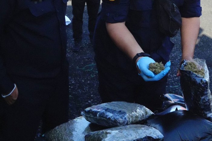Ziel war Holland: Zoll stoppt 1,6 Tonnen Cannabis in Decken versteckt