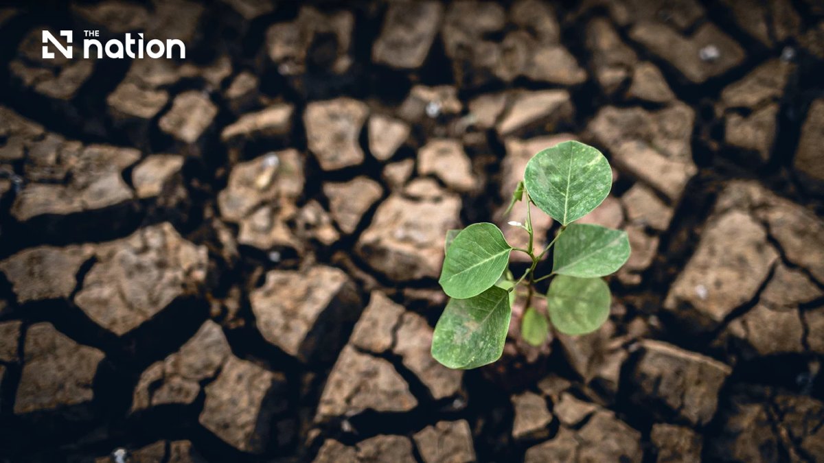 El Niño droht Thailand: Behörden bereiten sich auf schwere Dürre vor