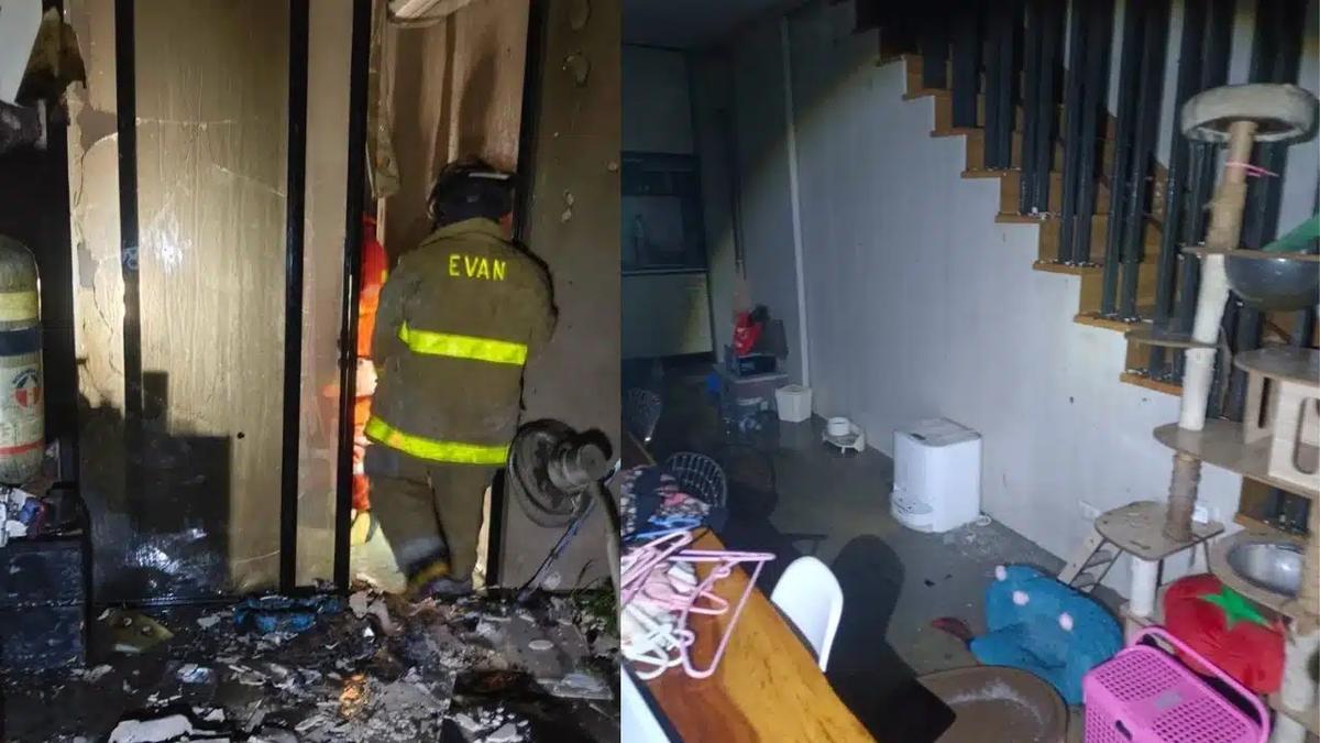 Ehepaar und fast 30 Katzen sterben bei Hausbrand