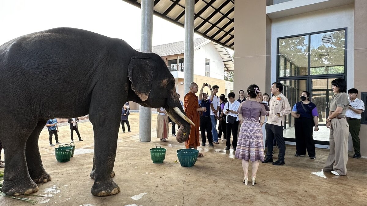 Uni Chiang Mai eröffnet Elefantenklinik