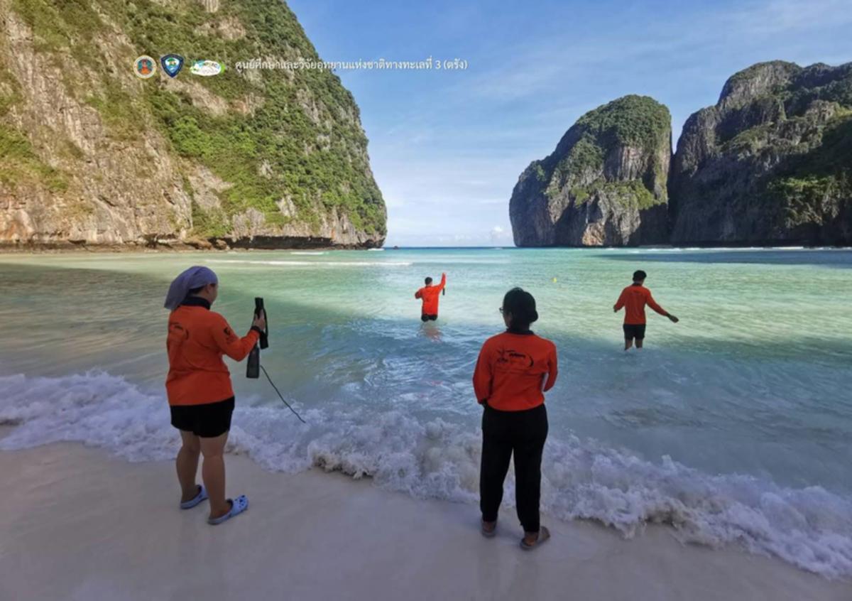 Forscher zählen Hunderte Haie in Krabi