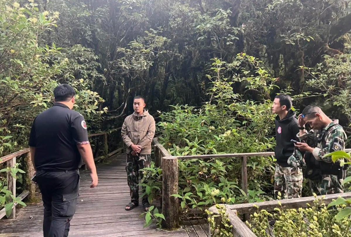 Doi Inthanon: Touristen zerstören seltene Pflanze