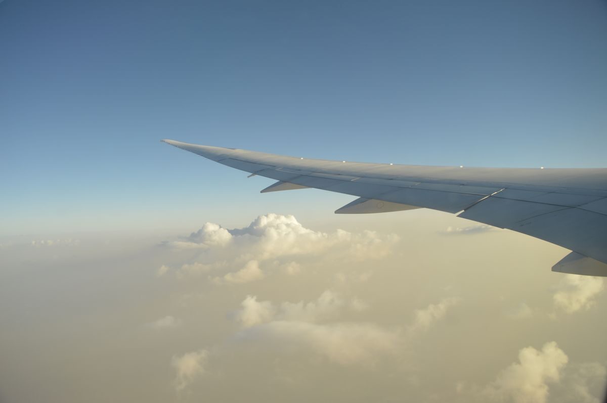 Thai Airways fliegt nach Plan - Fast alle Koffer ausgeliefert