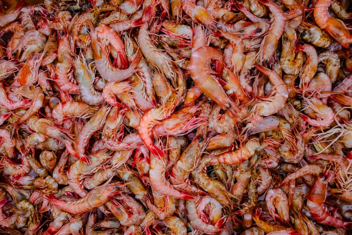 Flut kostet Garnelenzüchter in Thailand 17,5 Mrd Baht
