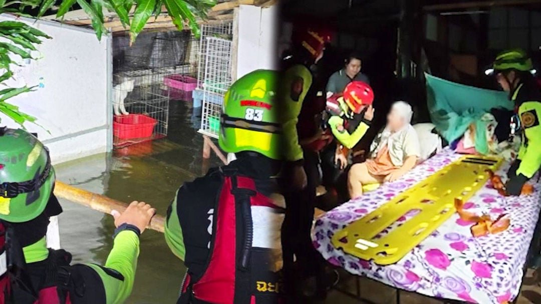 Flut-Einsatz - Kranke Frau und 18 Katzen gerettet