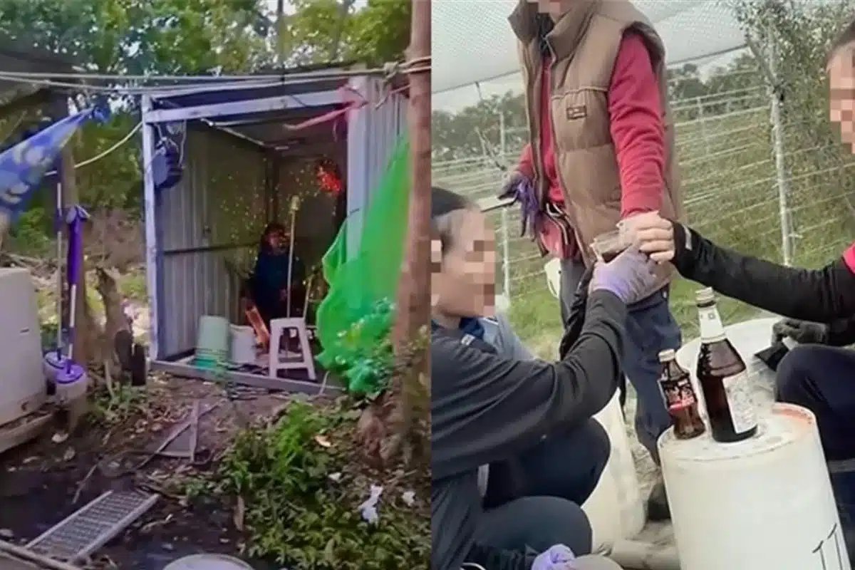 TikTok-Falle: Farm-Video verrät 20 Thais in Taiwan