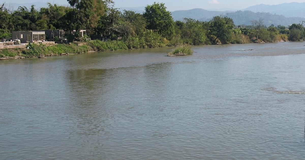 Arsen in Fluss: Behörden warnen vor Garnelen und Muscheln
